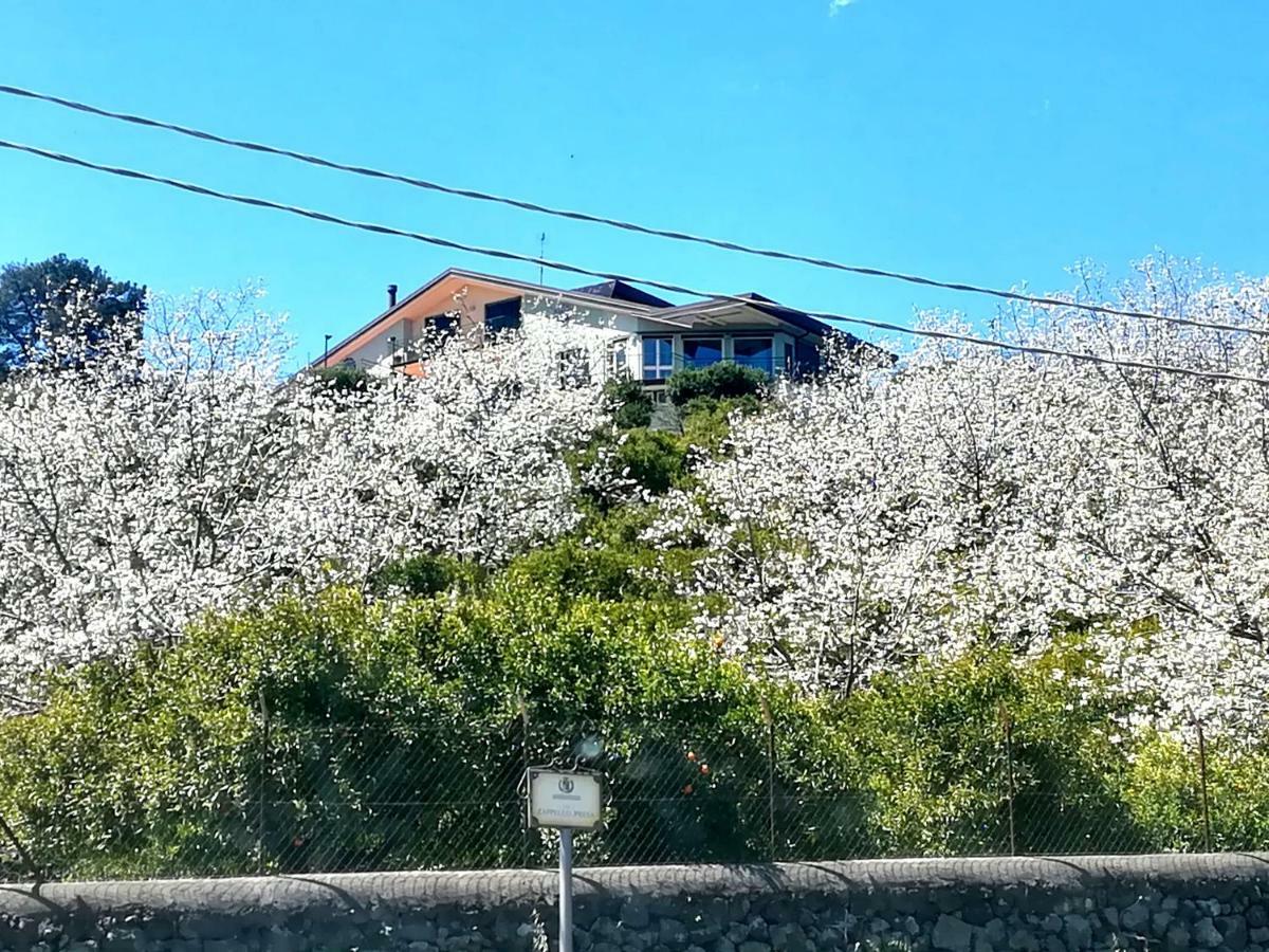 Villa Capogrecale - Piscina Riscaldata Piedimonte Etneo Buitenkant foto